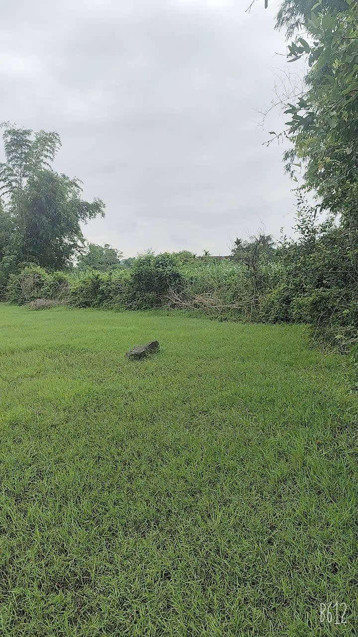 Đất vườn Đoàn Kết Yên Thủy 1800m² giá 1 tỷ - Cơ hội hiếm có!