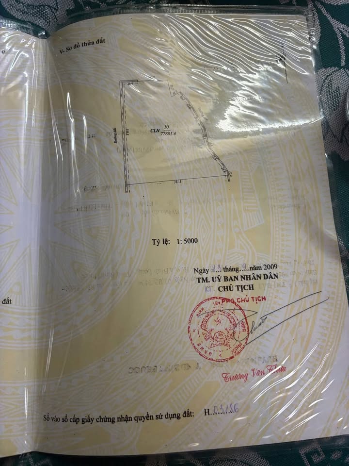 Đất nền Tân Lợi, Hớn Quản 80.000m² giá 1.65 tỷ - Đầu tư sinh lời ngay!