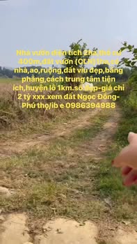 Đất vườn Ngọc Đồng, Yên Lập 20.000m² giá chỉ 2 tỷ - Cơ hội đầu tư tuyệt vời!