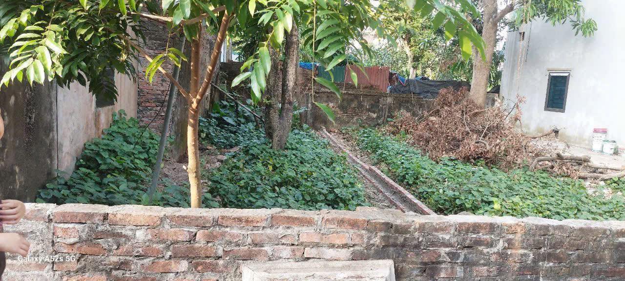 Đất nền thôn Đại Định, xã Tam Hưng, 46m² giá 3.5 tỷ - Vị trí vàng đầu tư!