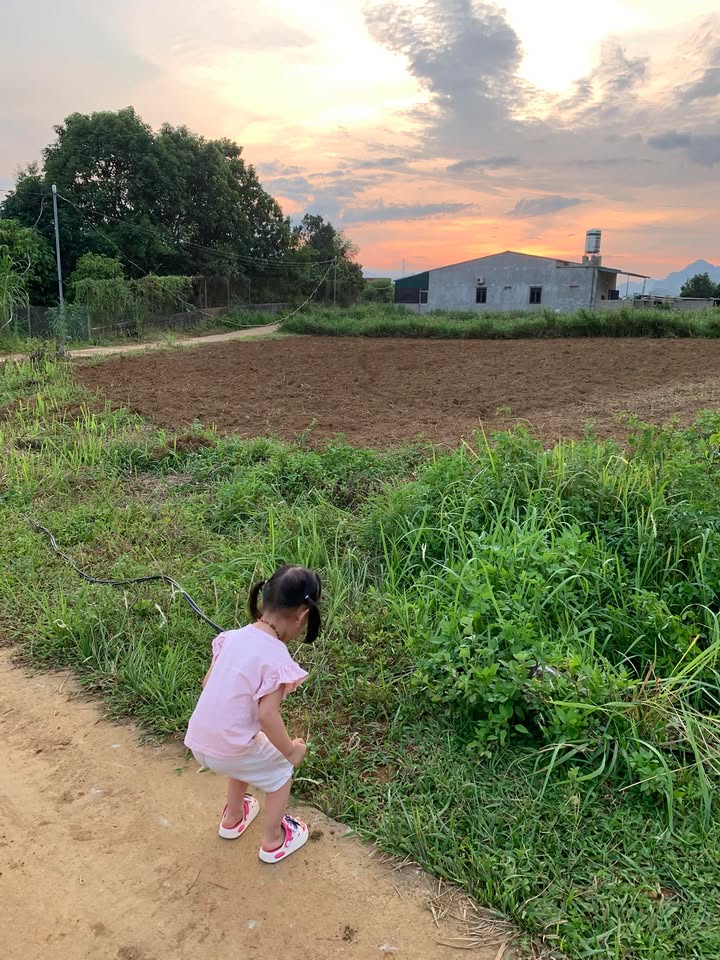 Đất nền Phong Quang Vị Xuyên 1000m² giá thu hồi vốn - Cơ hội đầu tư hấp dẫn!