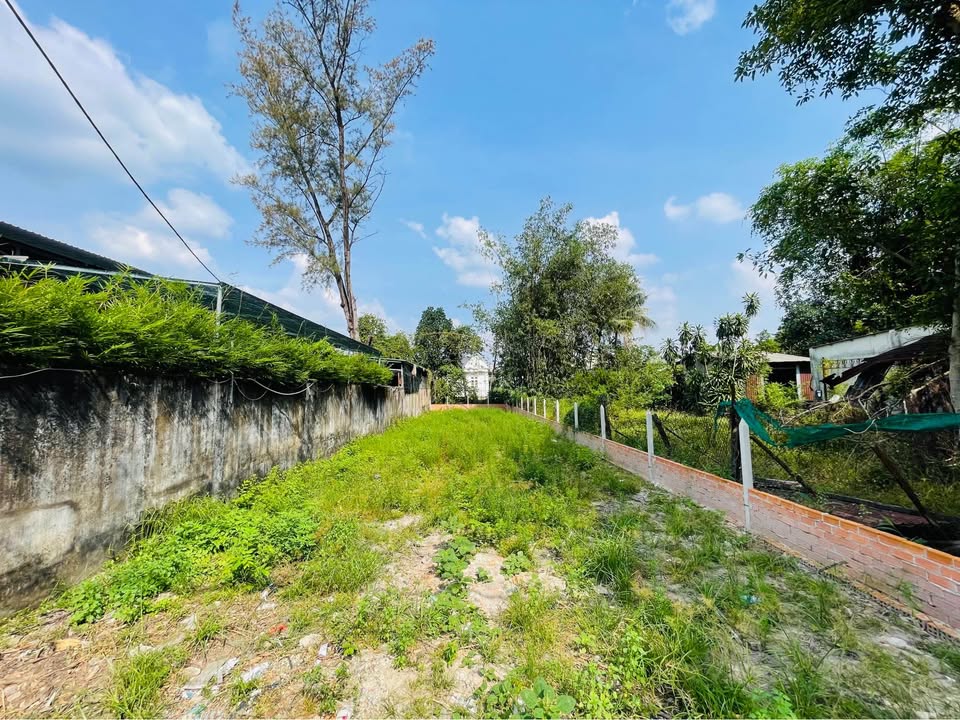 Đất mặt tiền đường Số 35, thị trấn Củ Chi 320m² - Vị trí trung tâm, giá tốt thương lượng!