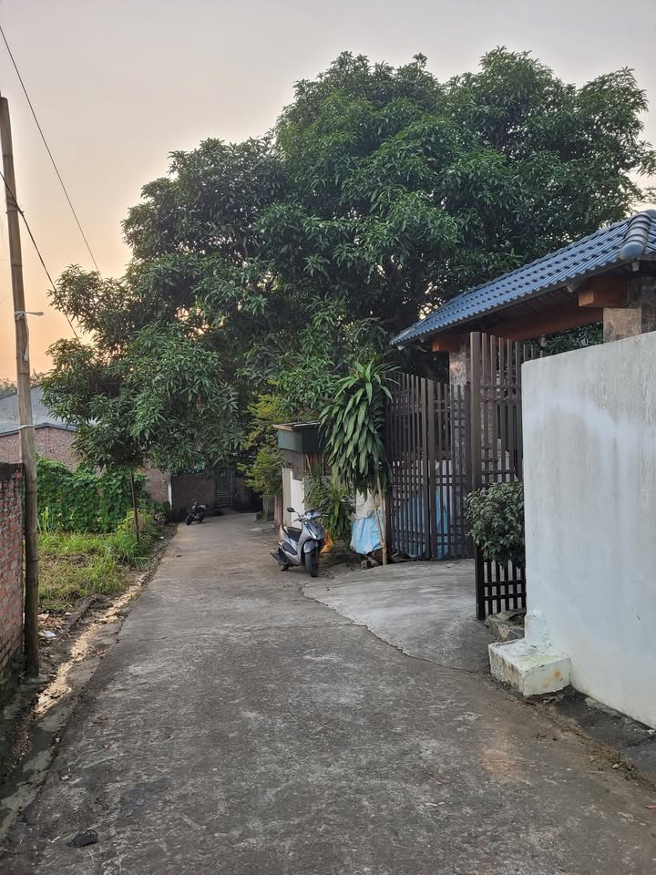 Đất thổ cư Kim Đức, Việt Trì 101m² giá 1.1 tỷ - Mặt tiền rộng rãi, vị trí thuận lợi!