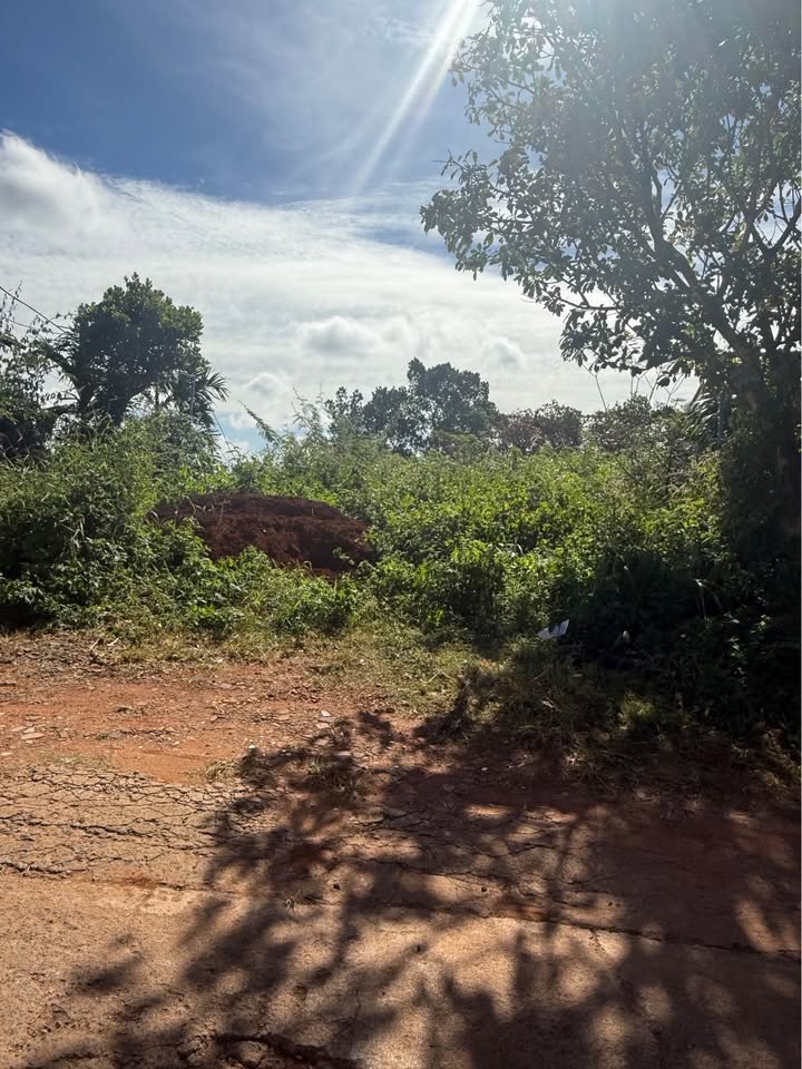 Đất nền Nghĩa Phú 240m² giá 1.28 tỷ - Vị trí đẹp gần trường học!