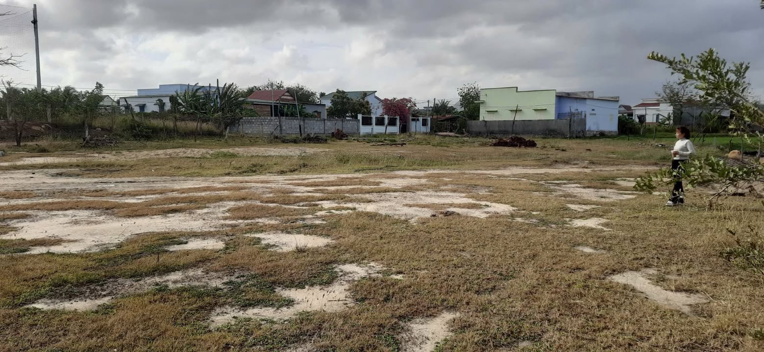 Đất Phước Dân Ninh Thuận 1000m² giá 700 triệu - Cơ hội đầu tư tuyệt vời!