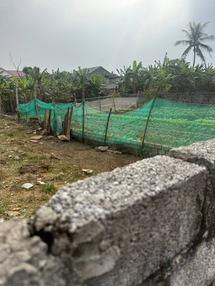 Đất thổ cư 125m² tại Hải Nhân, Nghi Sơn - Chỉ 1.05 tỷ, sổ hồng chính chủ!