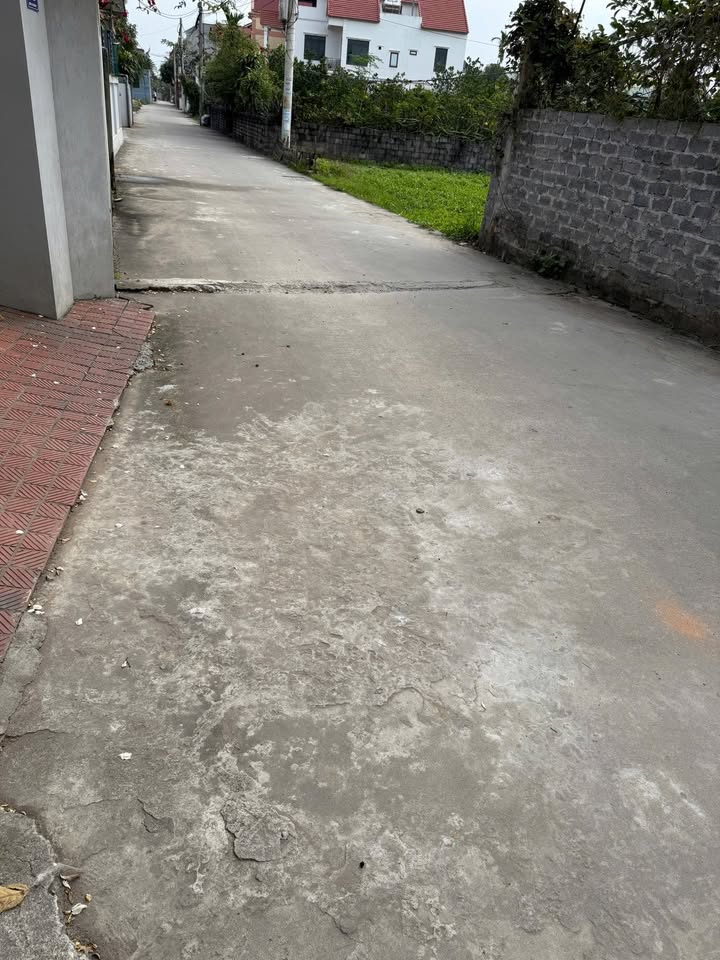 Đất Thư Phú Thường Tín 62.8m² - Chính chủ bán gấp!