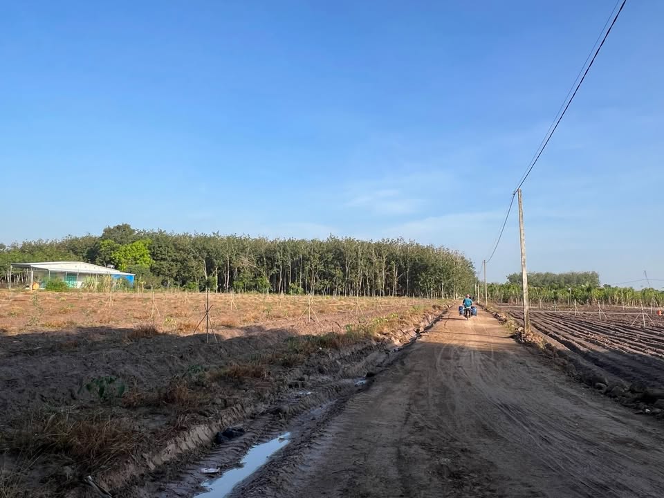 Đất Suối Dây 1026m² giá 280 triệu - Quy hoạch thổ cư, gần chợ chỉ 5 phút!