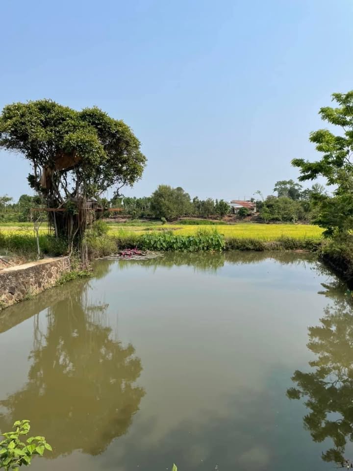 Đất thổ cư 2.3 sào tại Emnang, Cư M'gar - Giá chỉ 1.4 tỷ - Cơ hội đầu tư tuyệt vời!