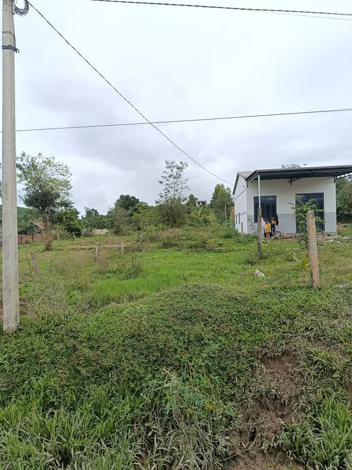 Đất thổ cư Cư Pui, Krông Bông 476m² giá 510 triệu - Sổ hồng chính chủ, sang tên nhanh chóng!