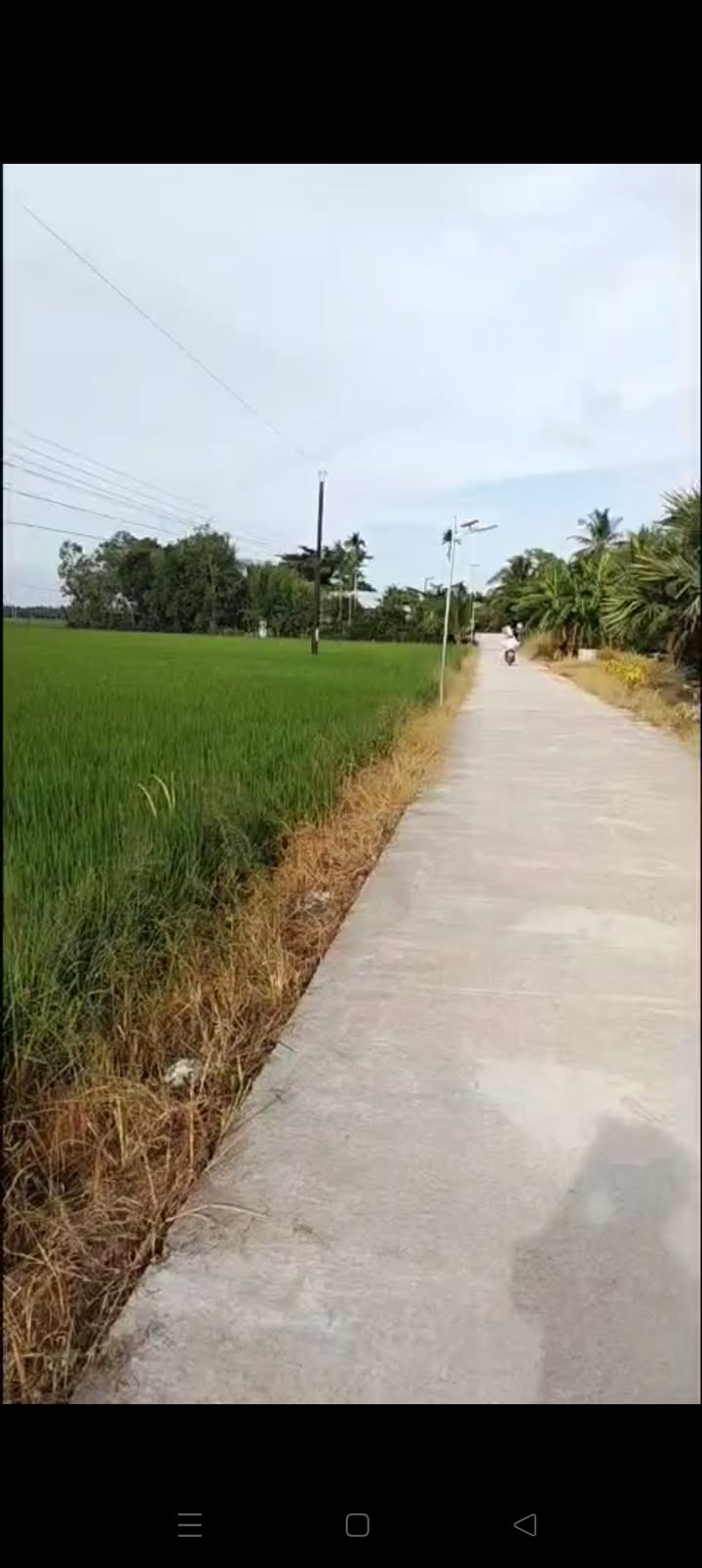 Đất thổ cư Phú Tân, Châu Thành, Sóc Trăng 480m² giá chỉ 5.76 tỷ - Đầu tư sinh lời ngay!