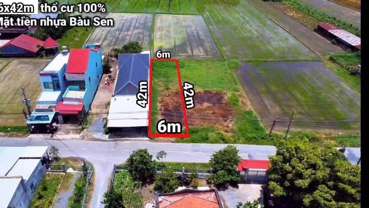 Đất mặt tiền Nhựa Bàu Sen, Đức Lập Hạ 252m² giá 2.48 tỷ - Cơ hội đầu tư tuyệt vời!