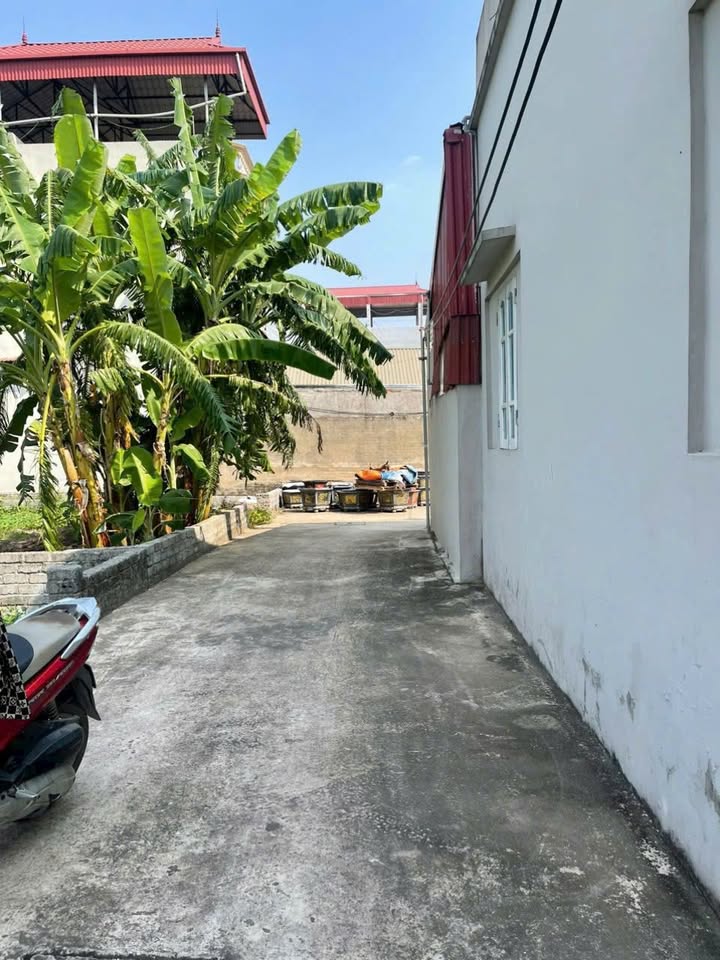 Đất Vĩnh Lộc, Thư Phú, Thường Tín 56.2m² giá 3.13 tỷ - Cơ hội đầu tư hấp dẫn!