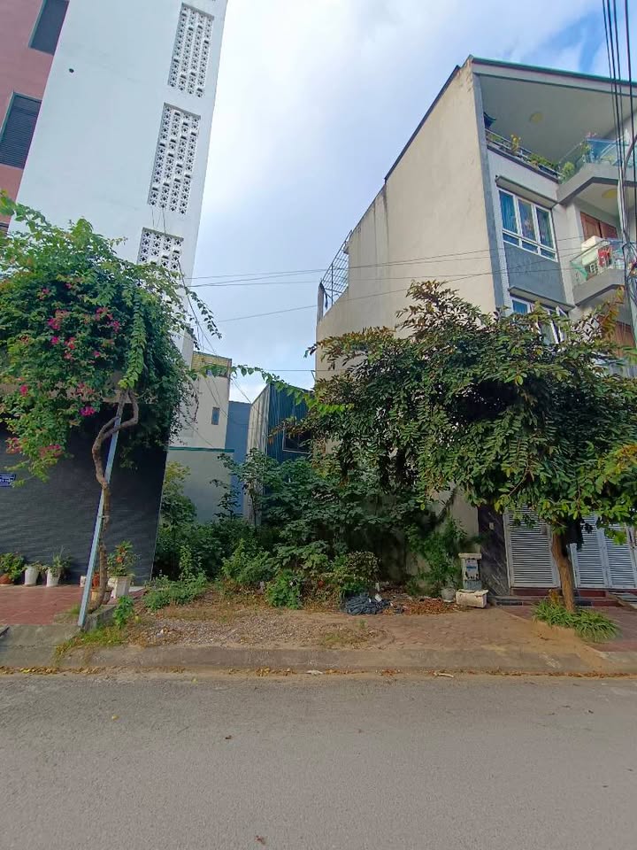 Đất phân lô Dương Nội Hà Đông 50m² giá 12.5 tỷ - Sổ đỏ chính chủ!