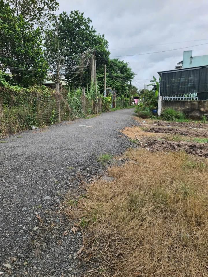 Đất nền thổ cư Ấp Mới 1, Đức Hòa, Long An 350m² giá 2.65 tỷ - Sổ hồng riêng, vị trí đẹp!