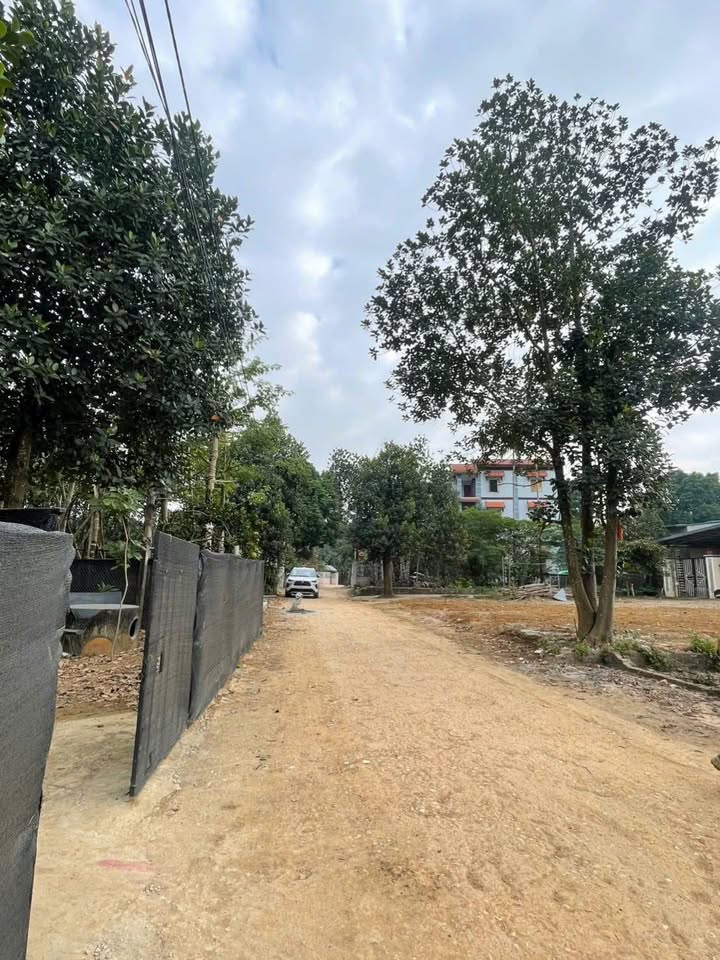 Đất nền Tân Xã Thạch Thất 300m² - Mặt tiền rộng, giá thỏa thuận!