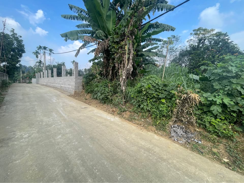 Đất nền Cao Dương Lương Sơn 150m² giá chỉ vài trăm triệu - Sổ đỏ chính chủ!