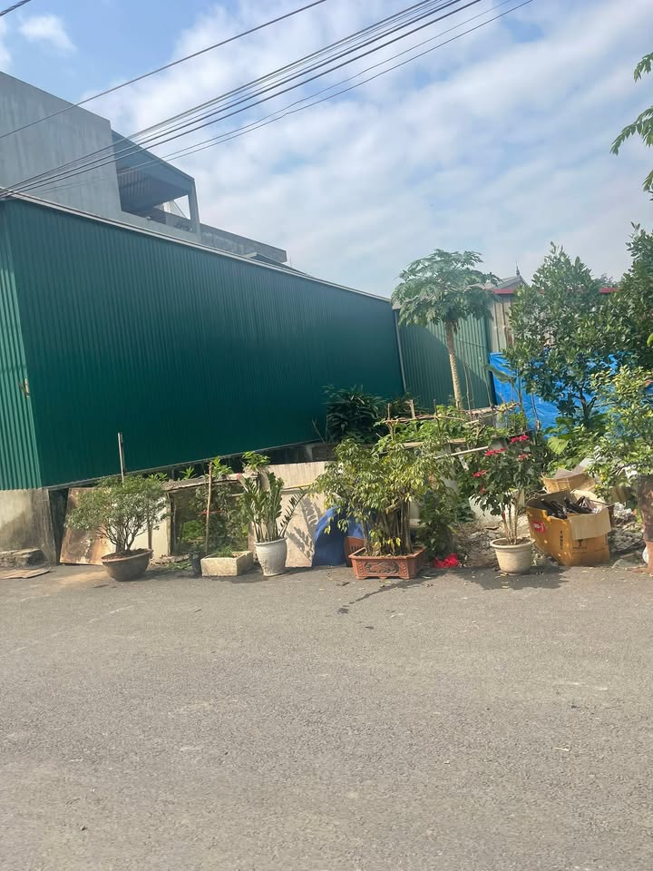 Đất đấu giá 60m² tại Nam Cường - Phụng Thượng giá chỉ 4 tỷ - Chính chủ bán gấp!