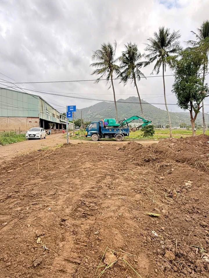 Đất Diên Phú 99m² giá 980 triệu - Lô góc 2 mặt tiền ô tô thuận lợi!