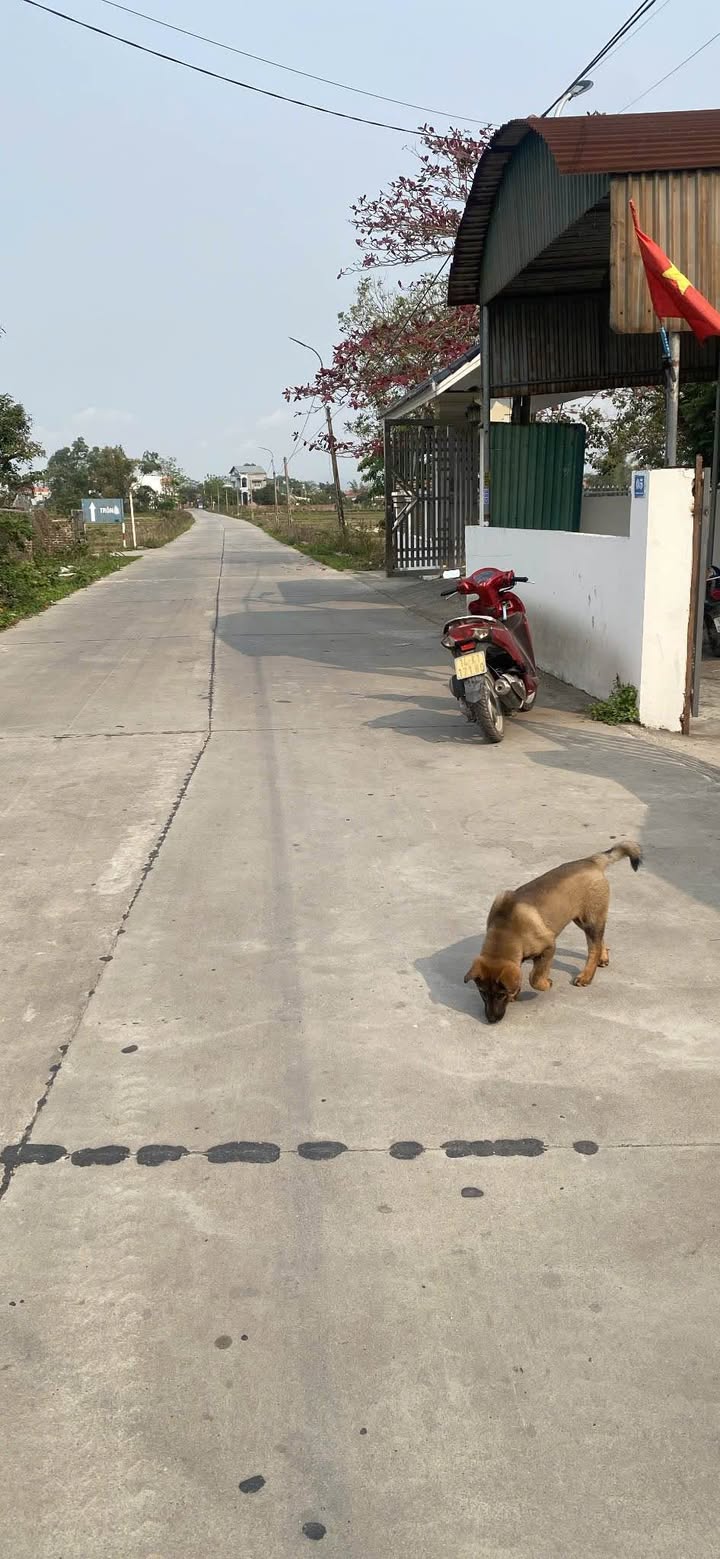 Đất nền 500m² tại thôn Hải Xuân 4, Móng Cái - Giá chỉ 2 tỷ, tiện ích đầy đủ!