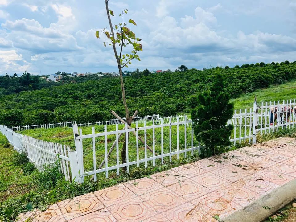 Đất Lộc An Bảo Lâm 100m² giá thỏa thuận - Sổ đỏ chính chủ, 100% thổ cư!