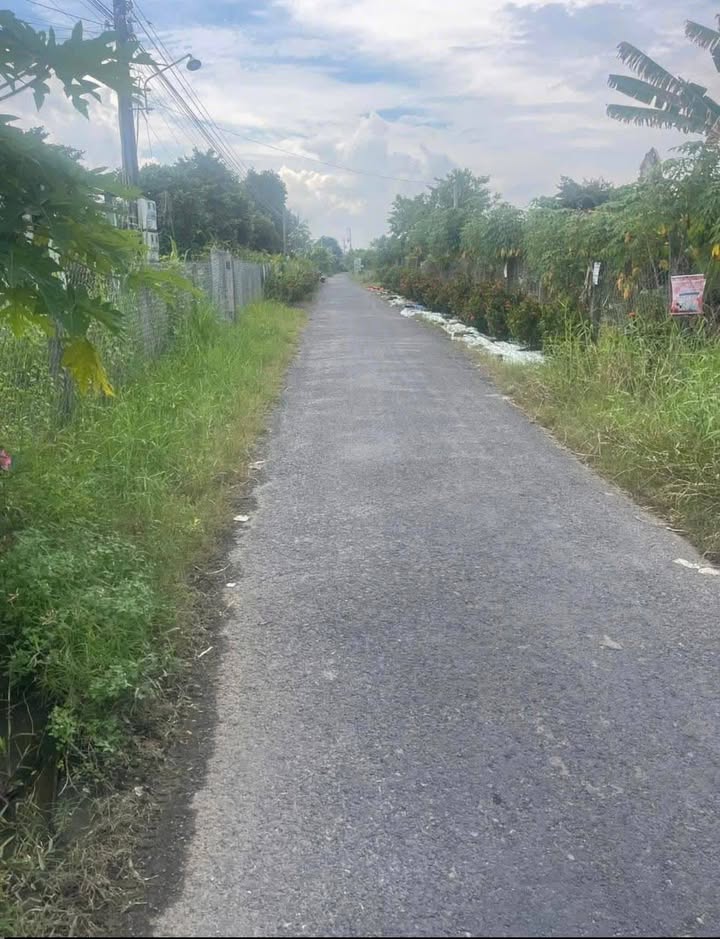 Nhà cấp 4 Tân Đông 105m² giá 500 triệu - Sẵn sàng sửa sang vào ở!