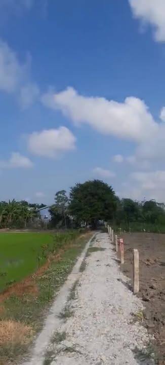 Đất nền 175m² tại phường Long Hưng, Gò Công - Giá chỉ 350 triệu, thương lượng chính chủ!