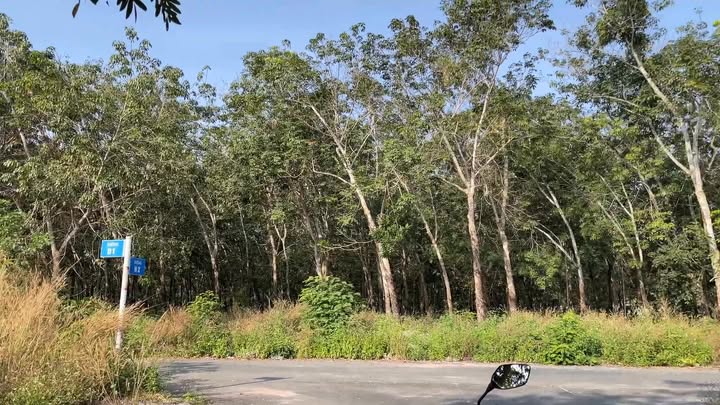 Đất nền Khu Đô Thị Bàu Xéo, 92.5m² giá chỉ 1 tỷ - Cơ hội đầu tư tuyệt vời!