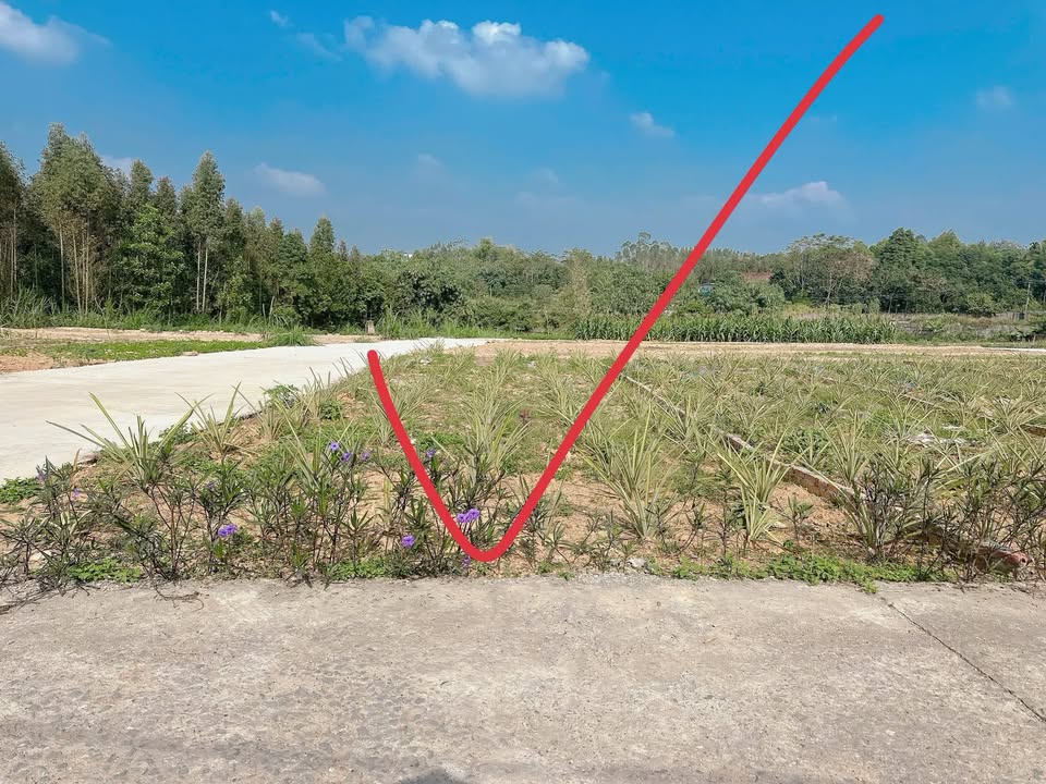 Đất nền Tiên Kiên, Lâm Thao 120m² giá 700 triệu - Đầu tư sinh lời ngay!