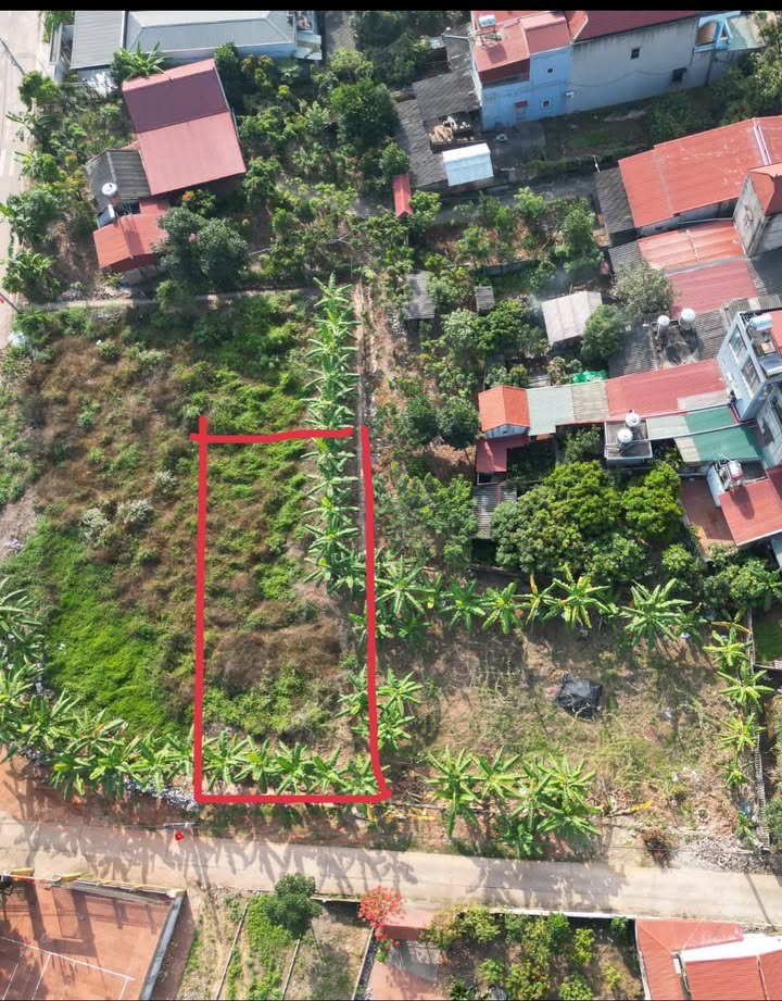 Đất nền Phượng Sơn Bắc Ninh 258m² giá thỏa thuận - Lô đẹp mặt tiền 12m