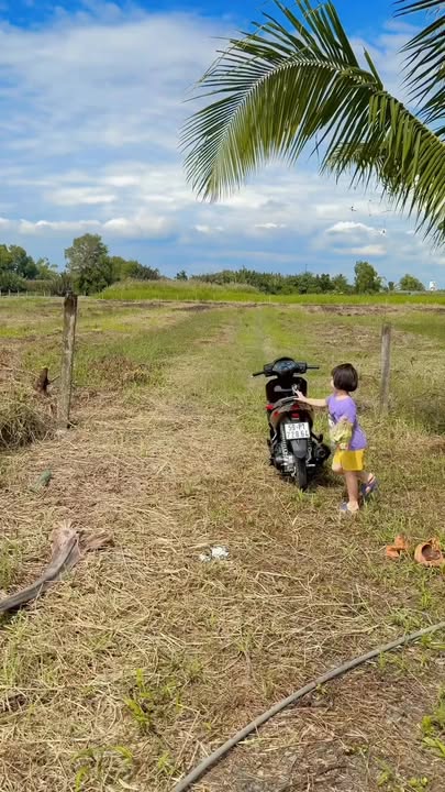 Đất nền chính chủ Cần Giuộc 9901m² giá 30 tỷ - Sổ hồng riêng, thương lượng ngay!