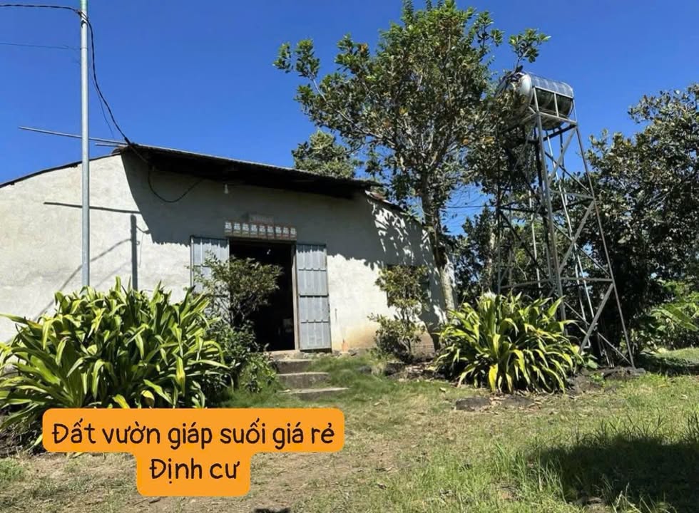 Bán gấp 9 sào vườn bưởi tại Phú Tân, Định Quán chỉ 2.1 tỷ - Sổ đỏ chính chủ!