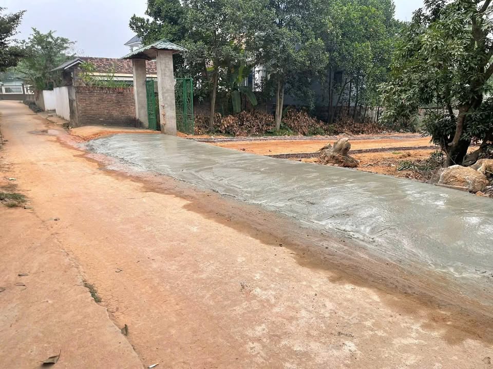 Đất nền Hướng Đạo Tam Dương 126m² giá chỉ 1 tỷ - Sổ hồng chính chủ!