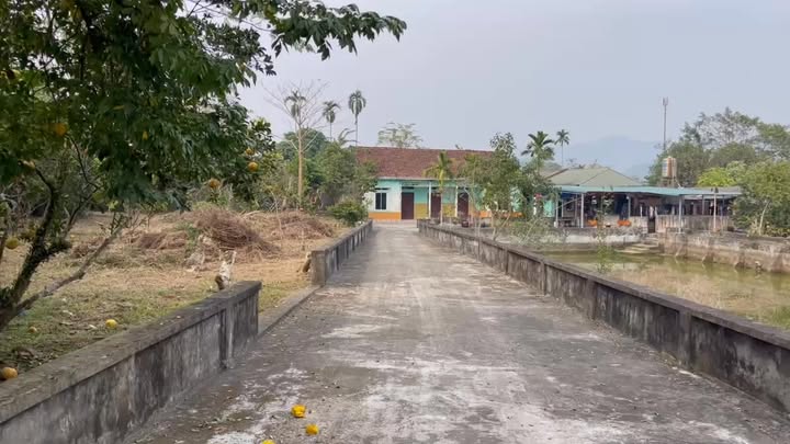 Lô đất nghỉ dưỡng 3.600m² tại Xuân Thuỷ, Yên Lập - Giá chỉ 2 tỷ!