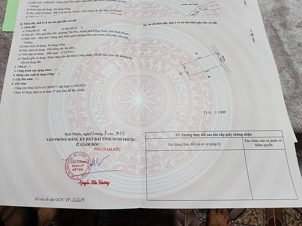 Đất sào 1000m² phường Tân Phú, TP Đồng Xoài - Giá 1.19 tỷ, oto vào tận nơi!