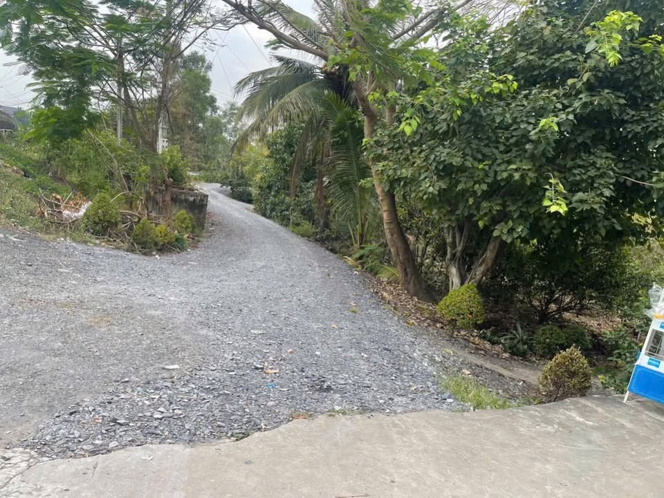 Đất xây nhà vườn Bình Đức, Bến Lức 1096m² giá 2.2 tỷ - View sông thoáng mát!