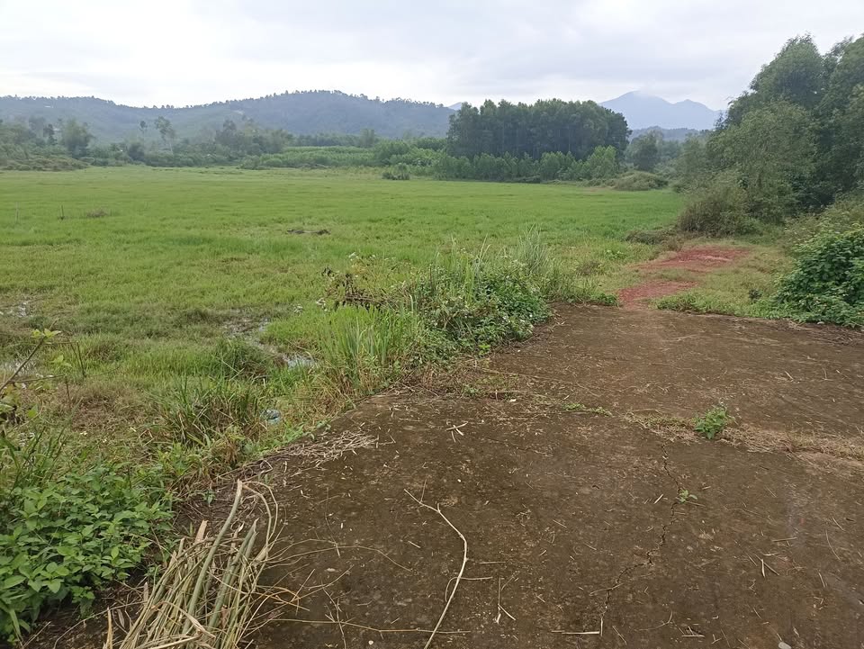 Đất nền Duy Hòa Duy Xuyên 125m² giá từ 200 triệu - Đầu tư sinh lời hấp dẫn!