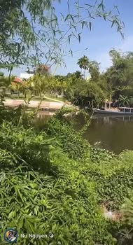 Đất CLN 225m² tại Hội An - Gần khu du lịch Lò Gốm Thanh Hà, giá chỉ 800 triệu!