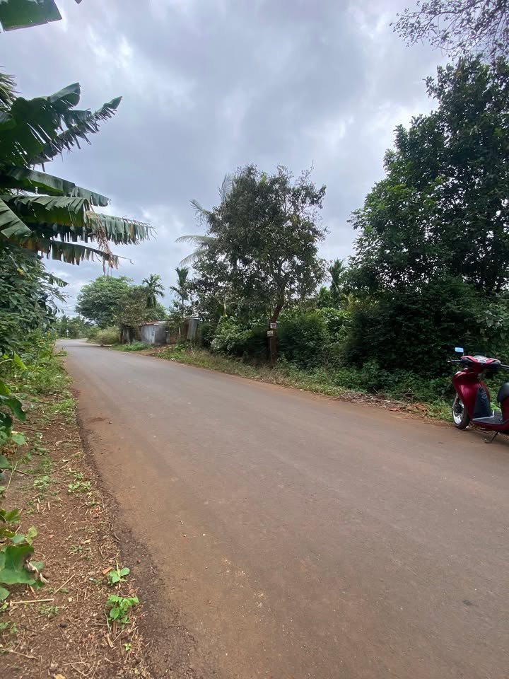 Đất nền Tân Lập, Buôn Ma Thuột 1170m² giá 4 tỷ - Cơ hội đầu tư hấp dẫn!