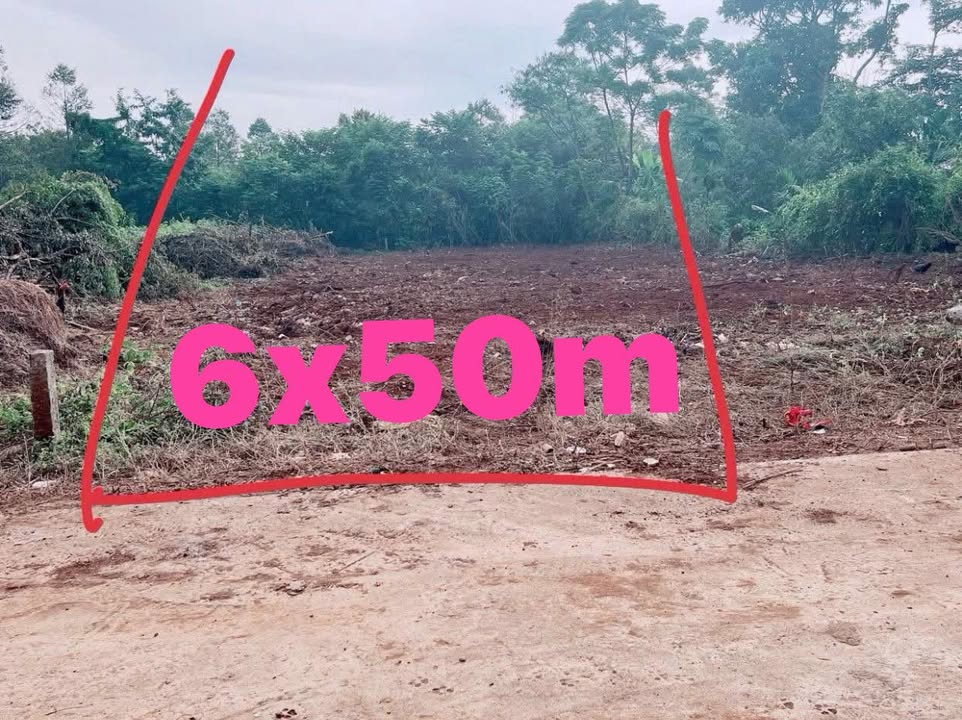 Đất nền Komleo Tân Lập Mới 300m² giá 1.399 tỷ - Cơ hội đầu tư tuyệt vời!