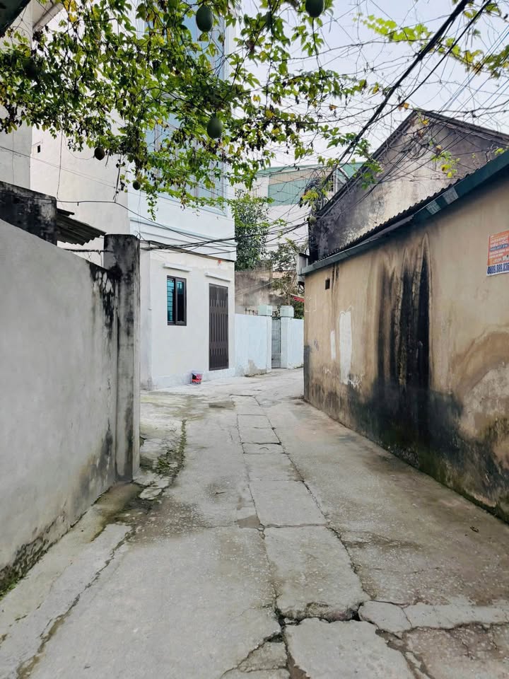 Đất nền Thanh Hóa 46m² giá 1.2 tỷ - Cơ hội đầu tư tuyệt vời!