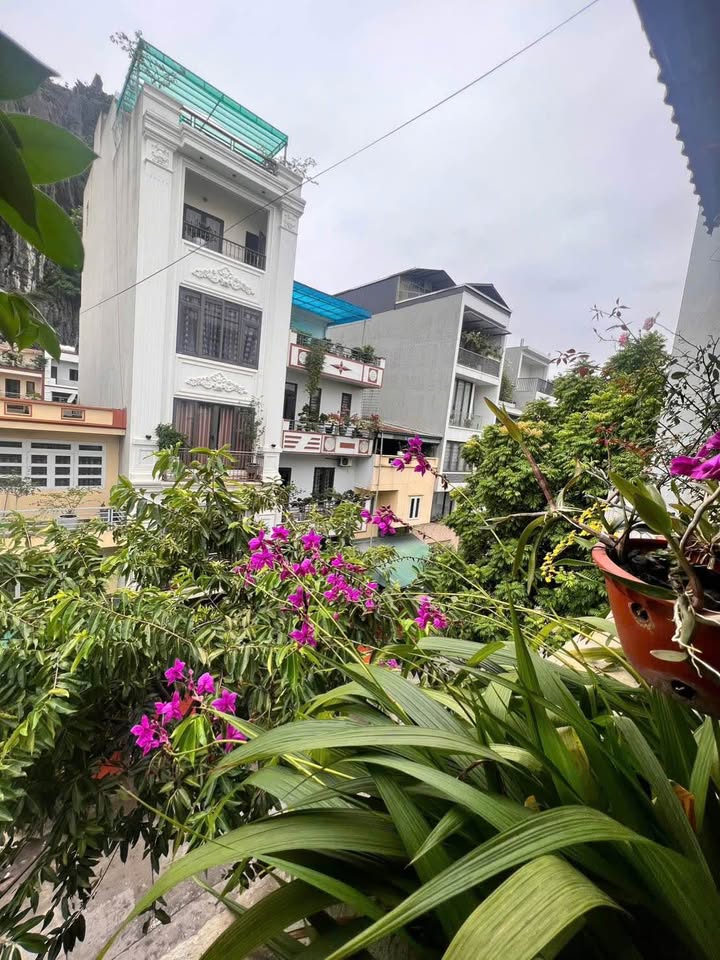 Nhà 3 tầng Hồng Hà Hạ Long 60m² giá 5 tỷ - Kinh doanh thuận lợi!