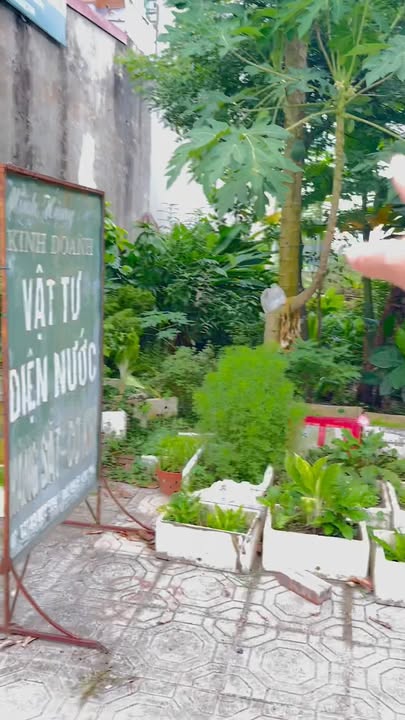 Đất thổ cư đường Hùng Vương, Phú Thọ 100m² giá 3 tỷ - Đầu tư sinh lời ngay!