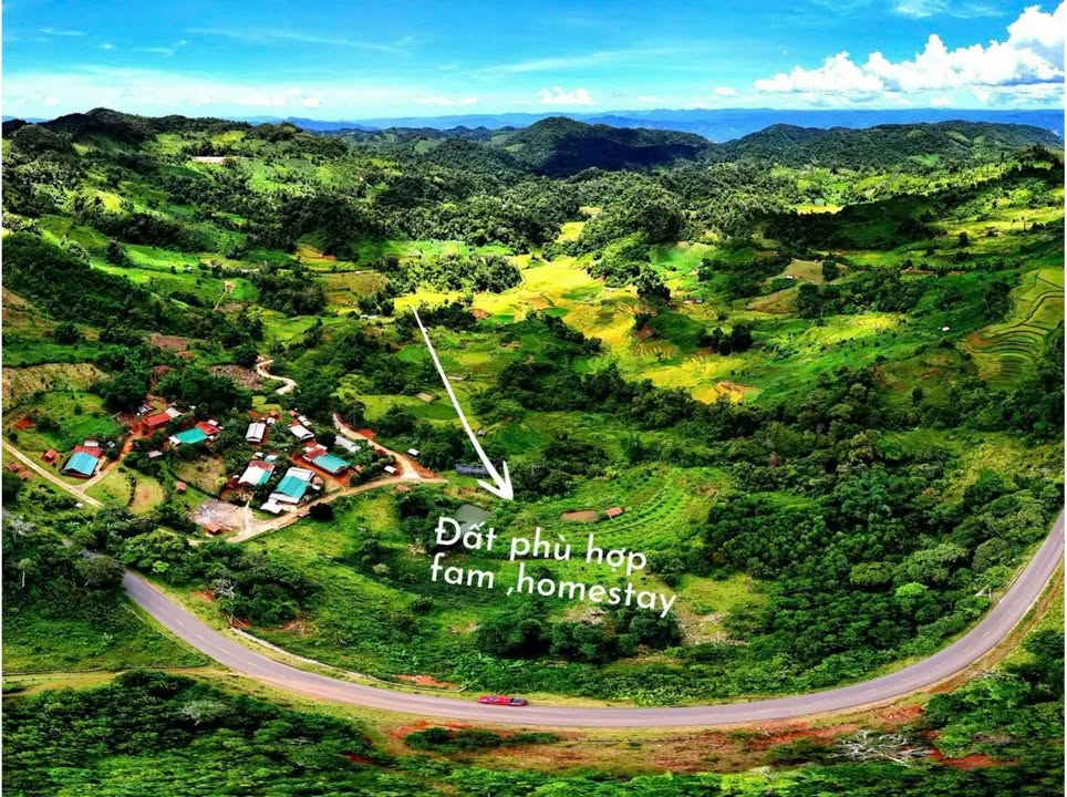 Đất thổ cư mặt tiền Quốc lộ 24, thôn Lăng 2, 3971m² - Cơ hội đầu tư lý tưởng!