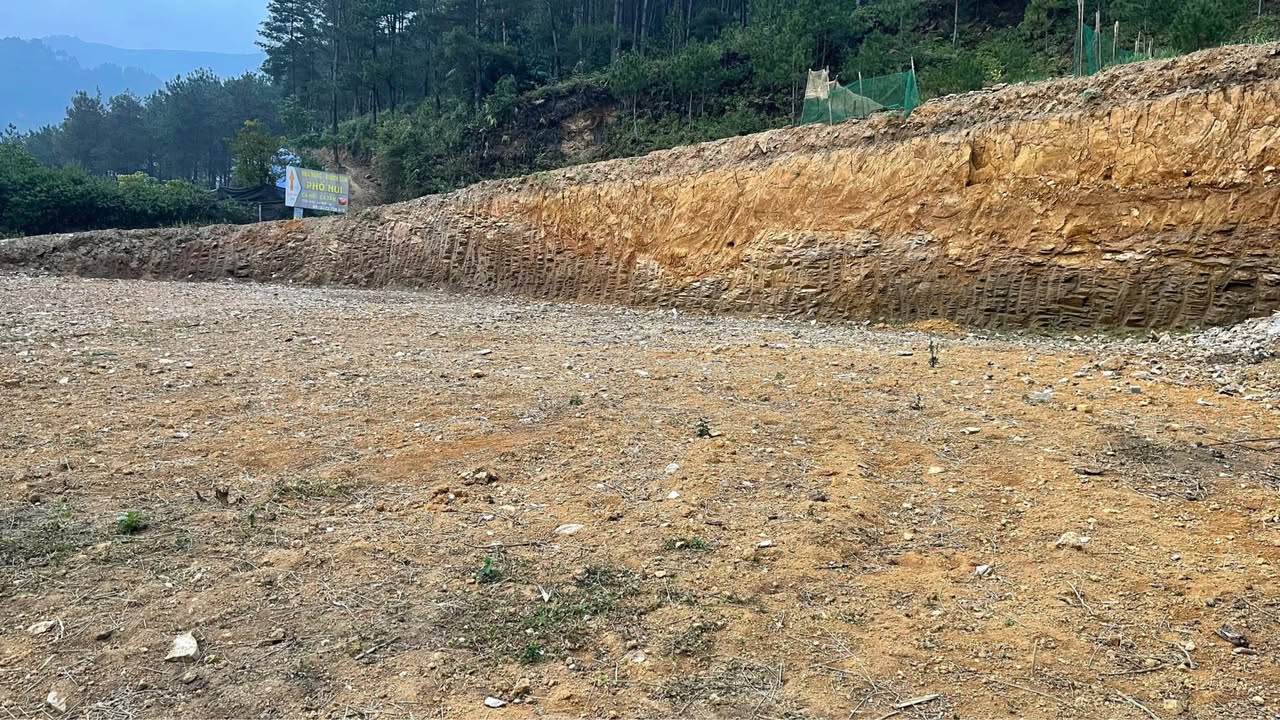 Đất nền 800m² tại xã Tú Lệ, Văn Chấn - Phù hợp kinh doanh nhà nghỉ, homestay!