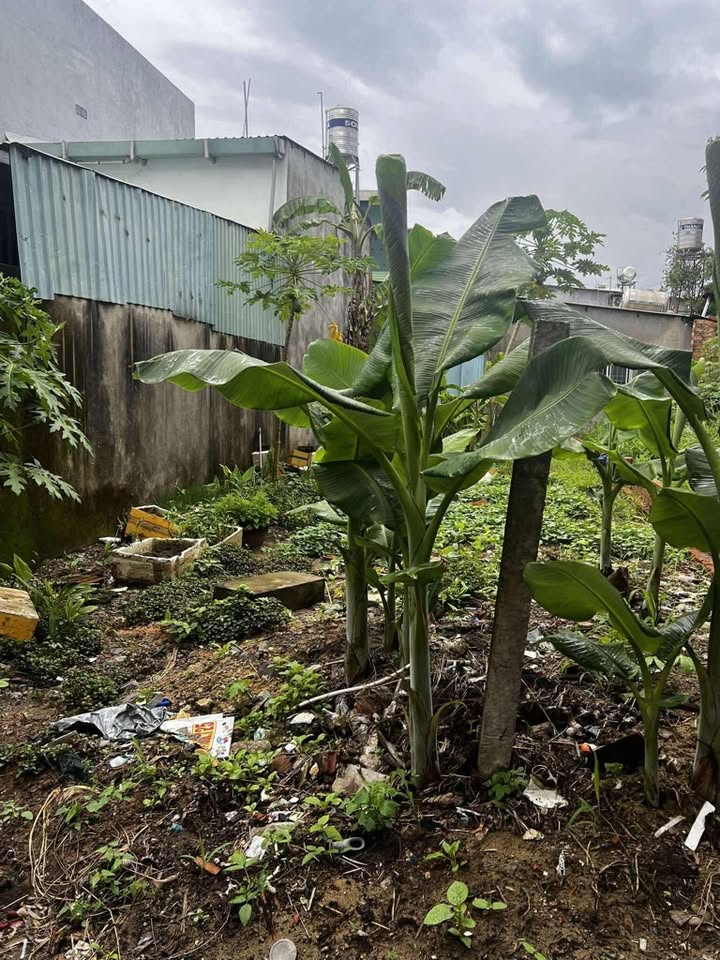 Đất thổ cư Nguyễn Xiển, Q9 80m² giá 3 tỷ - Ô tô vào tận cửa!