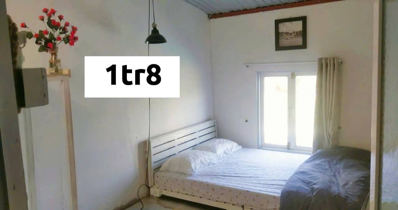 Phòng Homestay cho thuê tại Đà Lạt 55m² giá 1.8 triệu - Sống giữa thiên nhiên tươi đẹp!