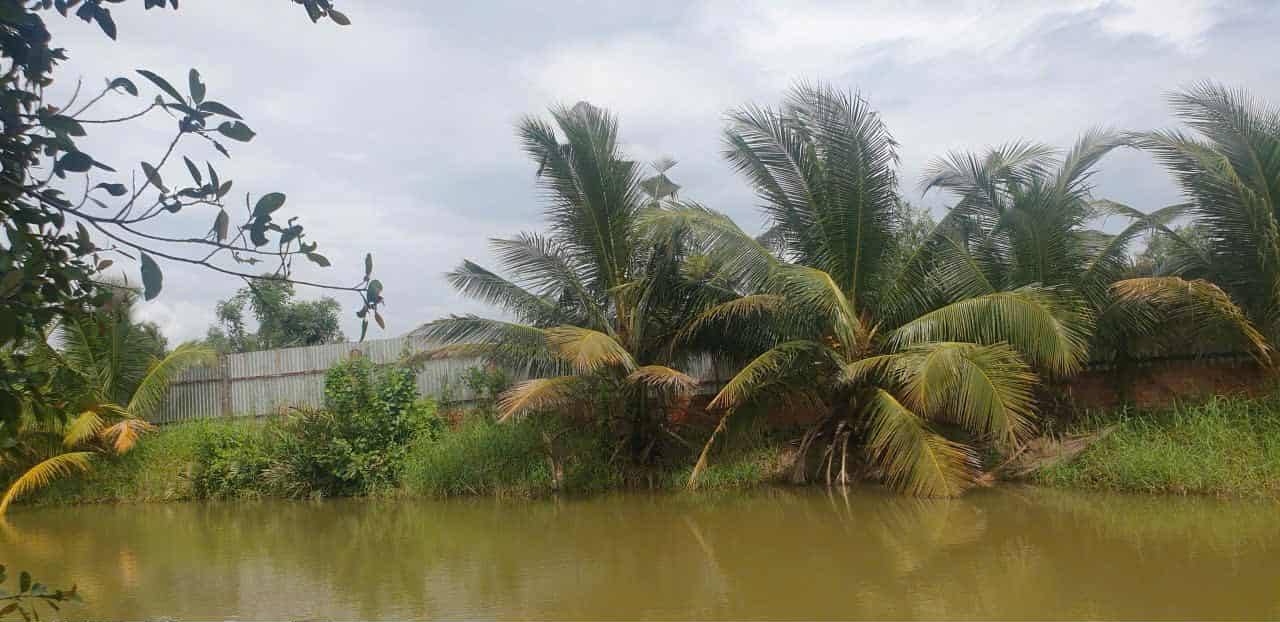 Nhà vườn cho thuê tại Lê Minh Xuân 3000m² chỉ 4.5 triệu - Thỏa thuận ngay!