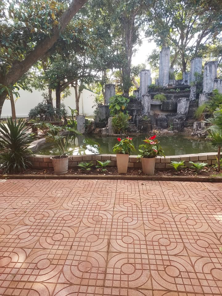 Đất xã hội 9778m² tại phường Ea Tam, Buôn Ma Thuột - Giá chỉ 40 tỷ!