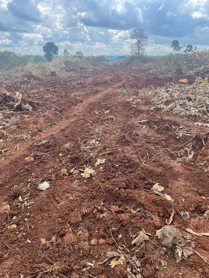 Đất nền Đắk N'Drót 9400m² giá 1.95 tỷ - Mặt tiền đường nhựa 40m